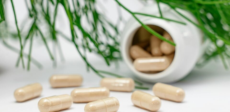 Adesão Nutricional: O Segredo para o Resultado do Suplemento