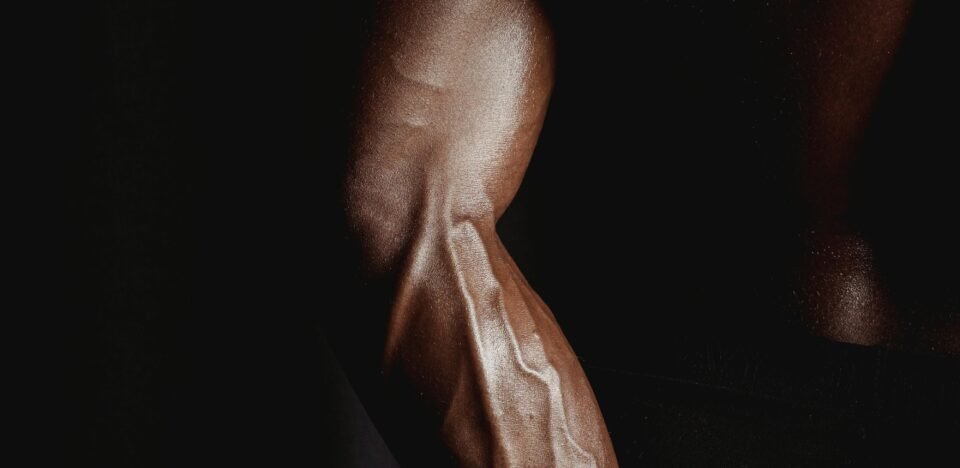 Fraqueza Muscular: Causas, Sintomas e Como Recuperar a Força