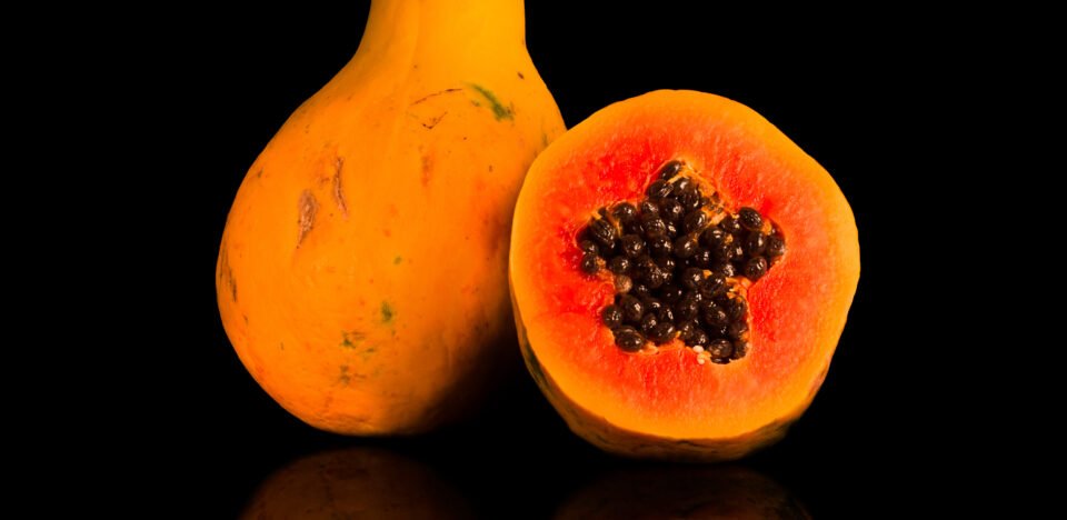 Descubra como o mamão otimiza a digestão de proteínas, combate a inflamação e auxilia na perda de peso. Guia completo de nutrição funcional.