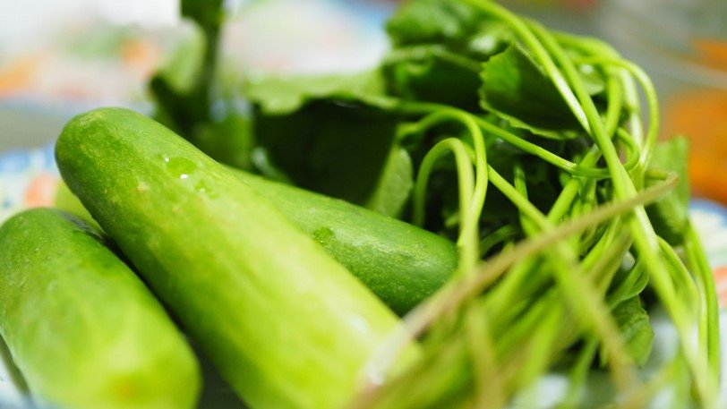 Descubra os 12 benefícios do pepino: da perda de peso à saúde dos ossos. Aprenda receitas detox e entenda por que este vegetal é essencial na sua rotina.