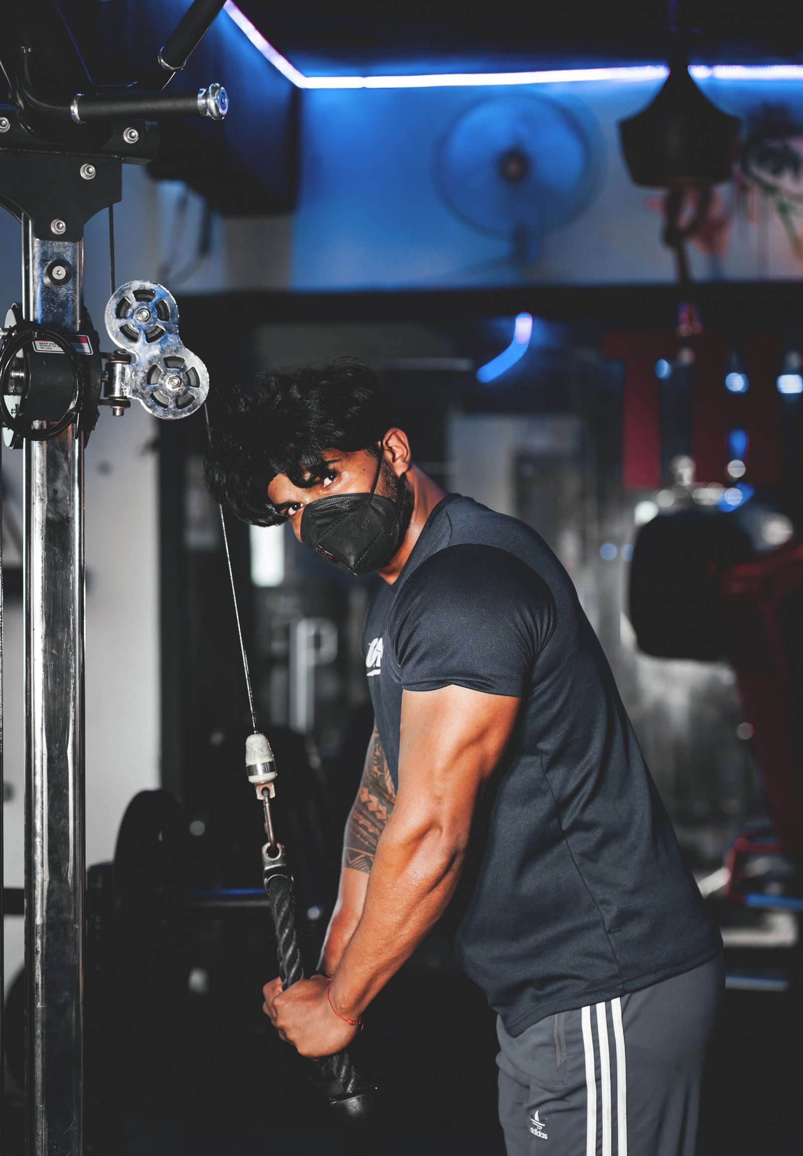 Tríceps: O Guia Definitivo para Volume, Força e Hipertrofia