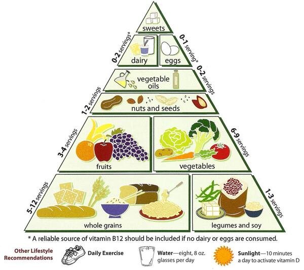 Entenda as novas Dietary Guidelines 2025-2030. Alimentos in natura, densidade nutricional e o impacto na sua saúde e suplementação.